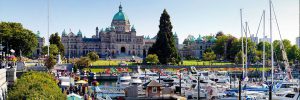 buy magic mushrooms in victoria BC