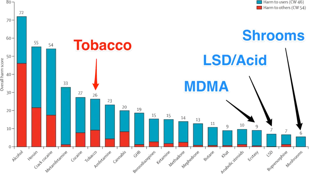 Long Term Effects of Magic Mushrooms
