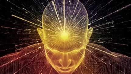 Long Term Effects of Magic Mushrooms